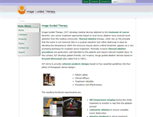 Tablet Screenshot of imageguidedtherapy.com